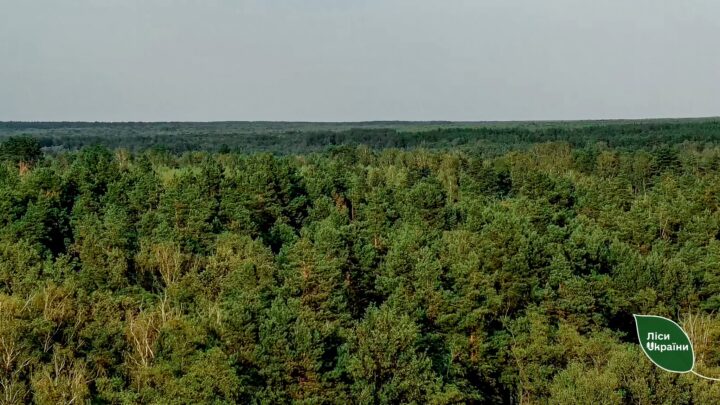 Житомирщина вдосконалює систему пожежної безпеки: нові щогли для лісів Звягельщини — Новини Житомира