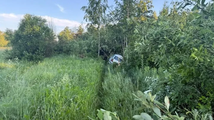 Нічна аварія на Житомирщині: лось на дорозі призвів до реанімації — Новини Житомира