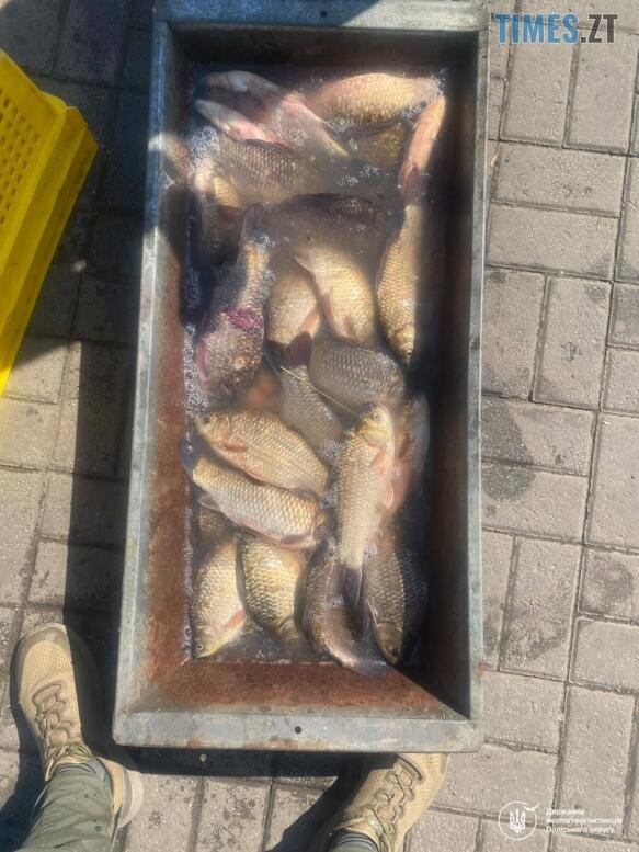 Екологи на Житомирщині: нелегальна риба, сміттєзвалища та лісопорушники — Новини Житомира