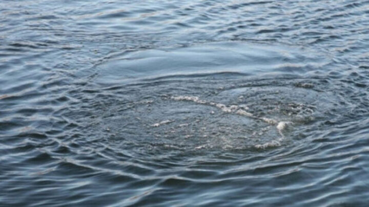 Безпека на воді Житомирщини: 16 життів втрачено з початку купального сезону — Новини Житомира