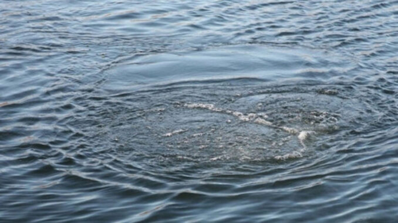 Безпека на воді Житомирщини: 16 життів втрачено з початку купального сезону — Новини Житомира