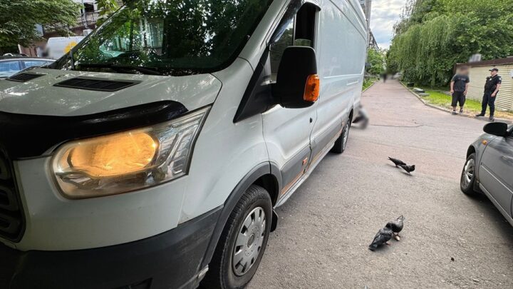 Автомобіль збив пенсіонера в Житомирі: що відомо про ДТП — Новини Житомира
